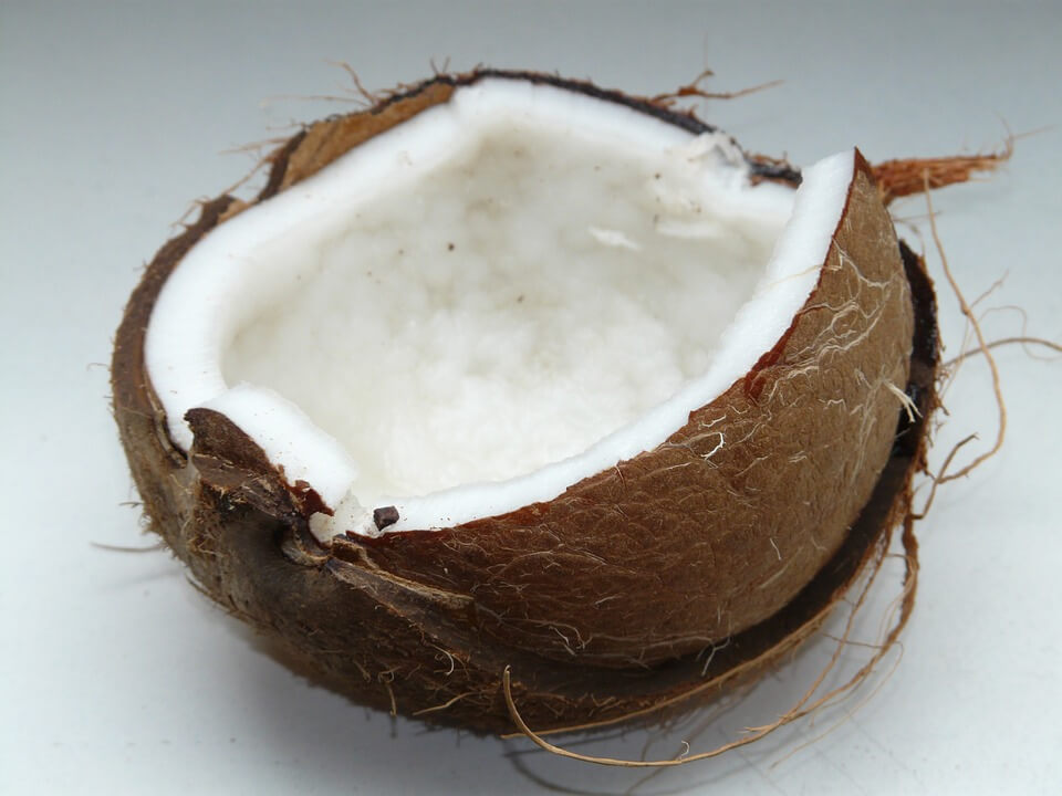 coconut fats