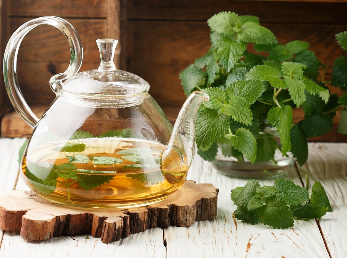 Discover 5 Types Of Natural Herbs For Tea That Can Help People Sleep Better